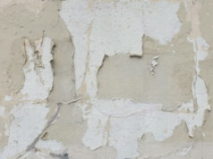 The Best Way To Treat Wall Dampness: A Step-By-Step Guide. the best way to treat wall dampness