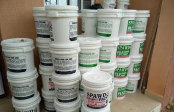 11 Ways to Market Your Paint Business in Nigeria: A Comprehensive Guide 11 ways to market your paint business in Nigeria.