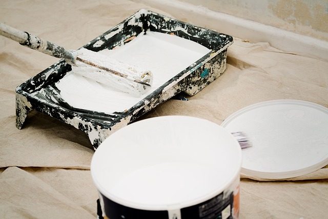 paint tray