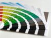 Bold Color Palettes for 2025: Redefining Creativity and Expression in Decoration Design Bold Color Palettes for 2025